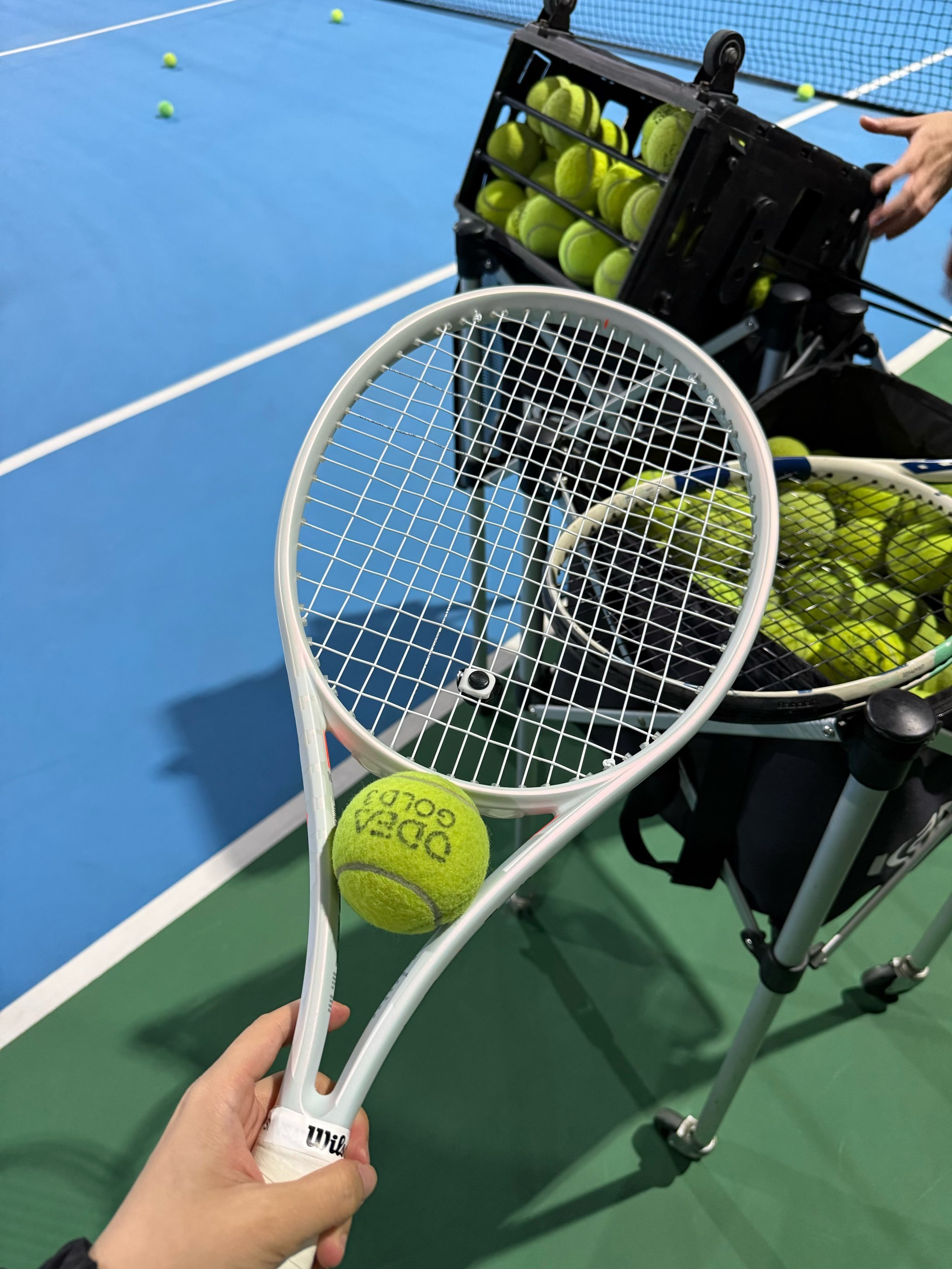 曼城和奥斯 曼城和奥斯