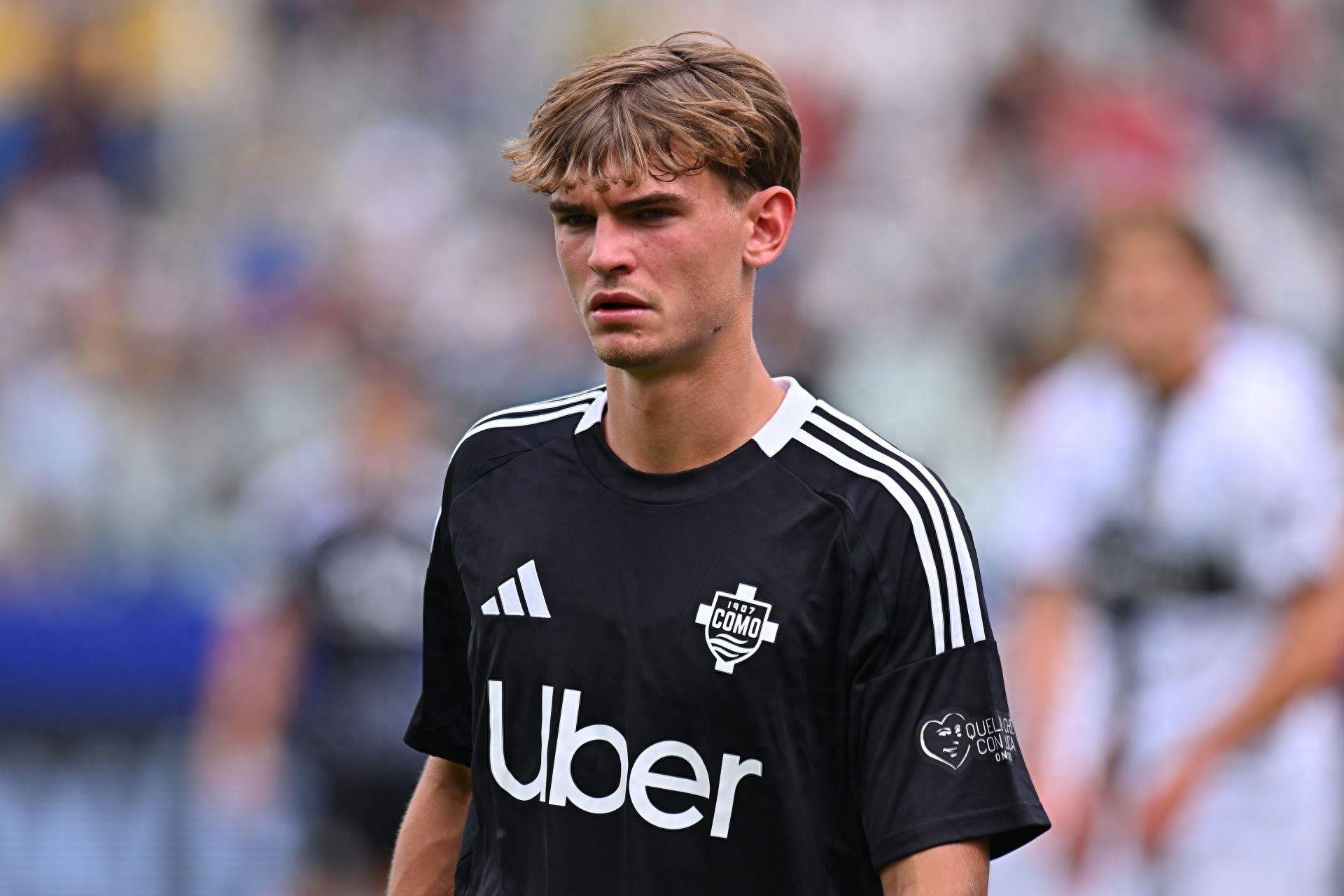 也奠定了其 也奠定了其